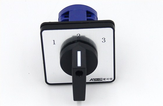 上海世博會(huì)項(xiàng)目-采用愛(ài)可信轉(zhuǎn)換開(kāi)關(guān)