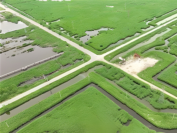 66e39a145ea05.jpg 1-1.jpg